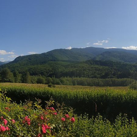 Valea Doamnei Hotel Nucşoara Екстериор снимка
