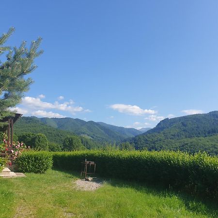 Valea Doamnei Hotel Nucşoara Екстериор снимка