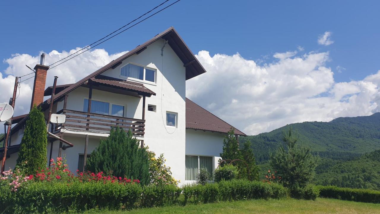 Valea Doamnei Hotel Nucşoara Екстериор снимка