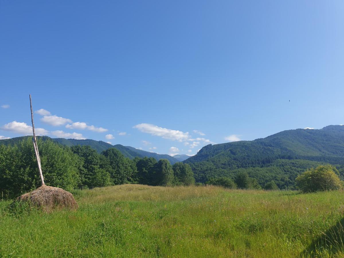 Valea Doamnei Hotel Nucşoara Екстериор снимка