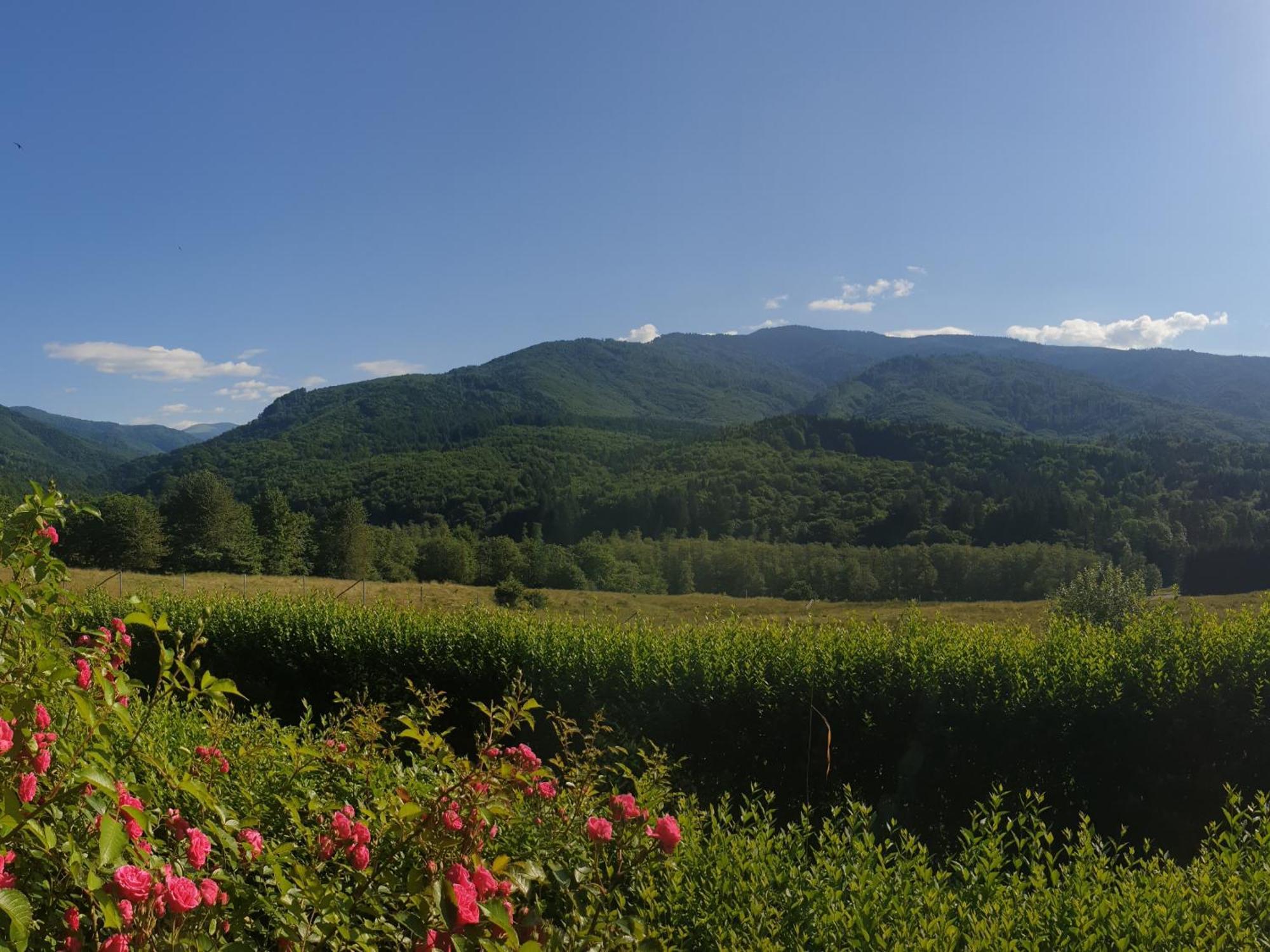 Valea Doamnei Hotel Nucşoara Екстериор снимка