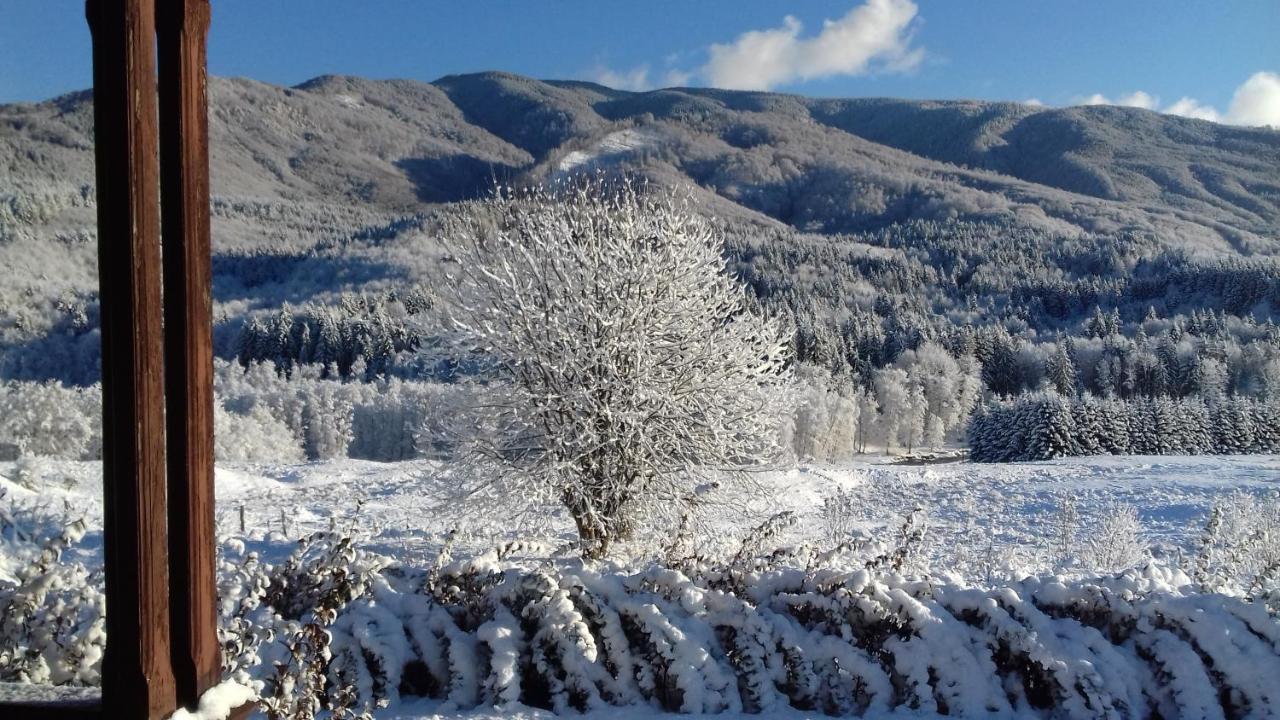 Valea Doamnei Hotel Nucşoara Екстериор снимка