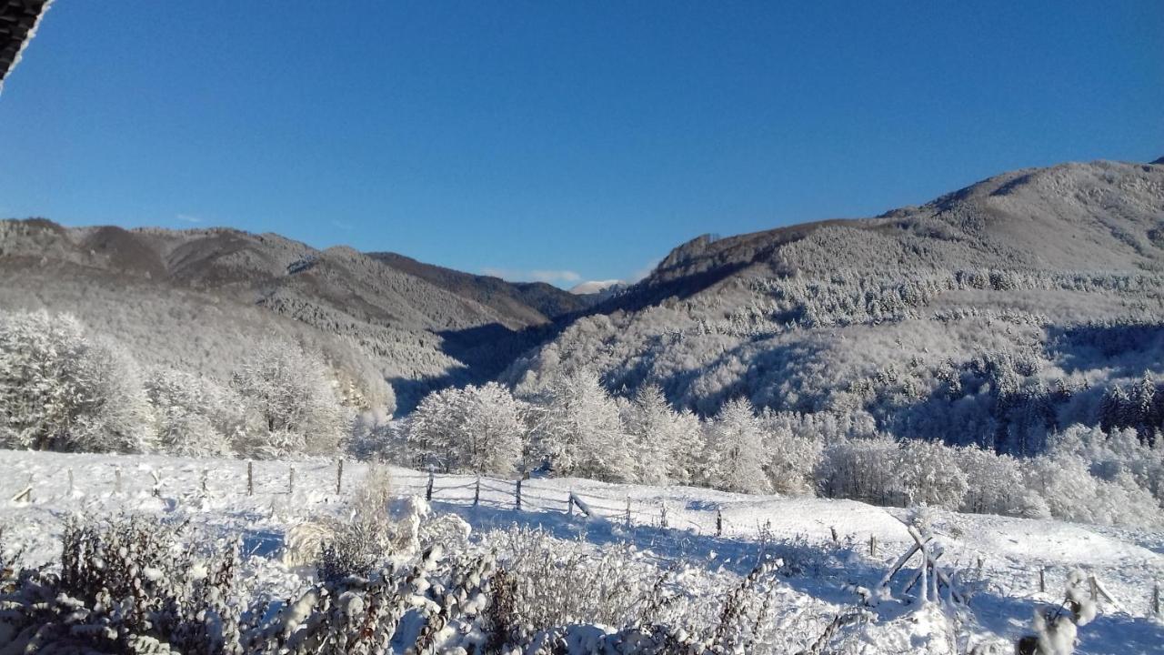Valea Doamnei Hotel Nucşoara Екстериор снимка